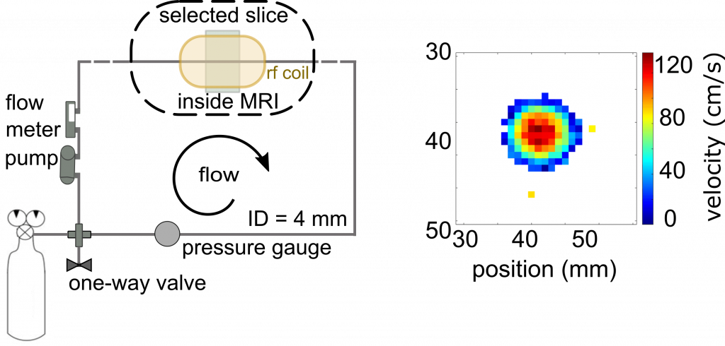 Velocity profile of ethane measured inside the pipe using pc-MRI.
